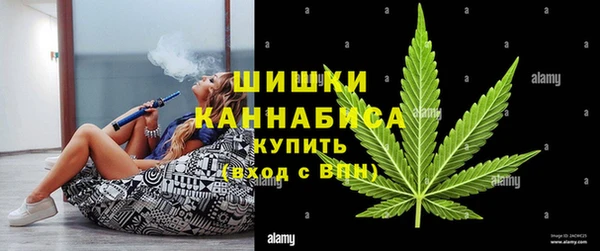 дживик Касимов