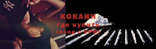 дживик Касимов