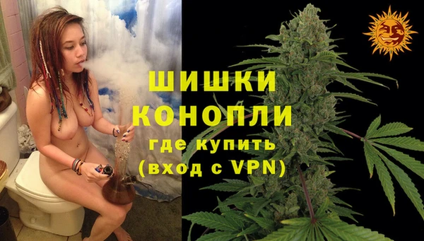 дживик Касимов