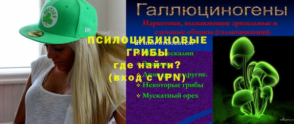 дживик Касимов